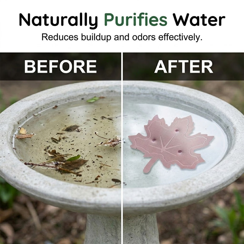 🔥HOT SALE 50% OFF🍁Universal Fit Bird Bath Purifier (OFFER)