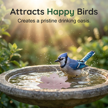 🔥HOT SALE 50% OFF🍁Universal Fit Bird Bath Purifier (OFFER)
